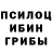 Псилоцибиновые грибы мухоморы Rodrigo Lc