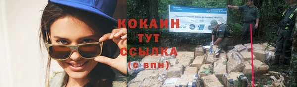 тгк Армянск