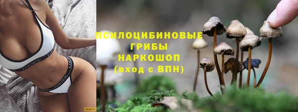 мет Балахна