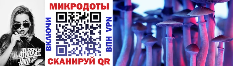 где купить наркоту  Новопавловск  Галлюциногенные грибы мицелий 